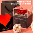 Preserved Real Rose & Necklace Gift Set For Women | Mom/Mother, Girlfriend, Wife, Niece