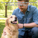 Pet Memorial Gifts - Dog & Cat Loss Bracelet With Rainbow Bridge